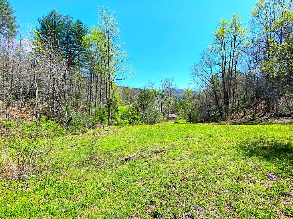 208 Odell Loop, MURPHY, North Carolina image 33