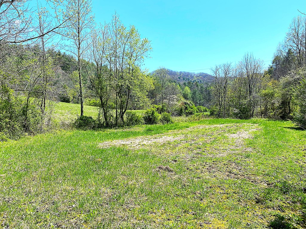 208 Odell Loop, MURPHY, North Carolina image 36
