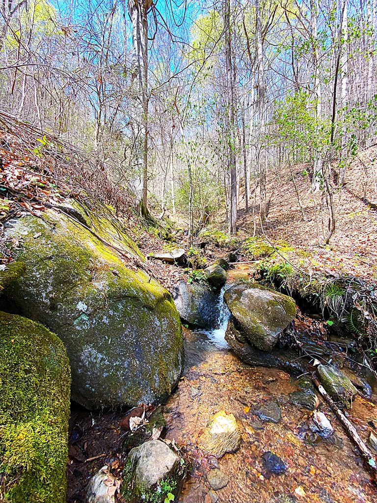 208 Odell Loop, MURPHY, North Carolina image 31