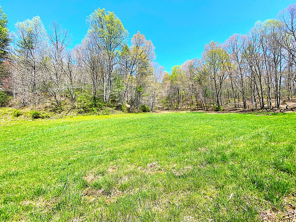 208 Odell Loop, MURPHY, North Carolina image 26
