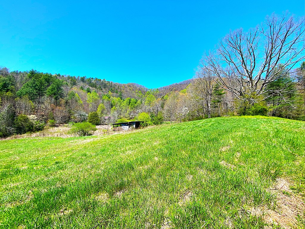 208 Odell Loop, MURPHY, North Carolina image 13