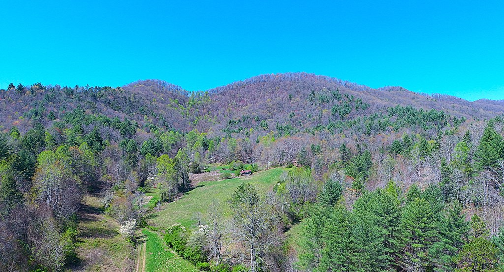 208 Odell Loop, MURPHY, North Carolina image 43