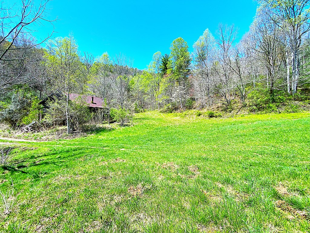 208 Odell Loop, MURPHY, North Carolina image 44