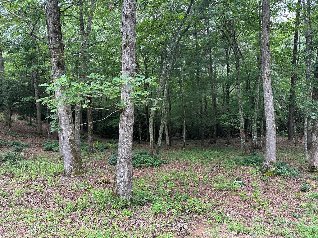 Lot 20 Cricket Lane #20, WARNE, North Carolina image 7