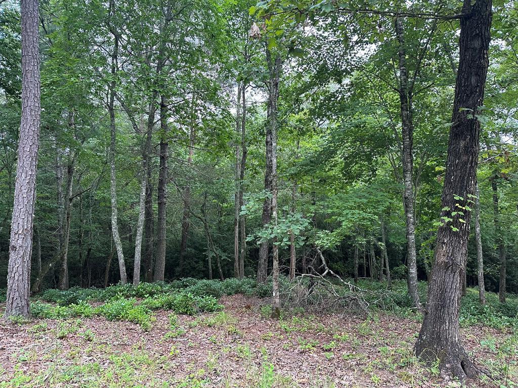 Lot 20 Cricket Lane #20, WARNE, North Carolina image 2