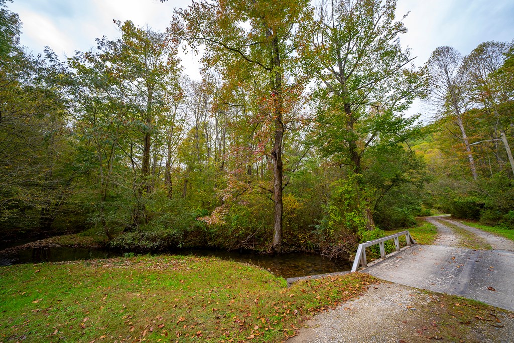 Yellow Creek Rd, ROBBINSVILLE, North Carolina image 7