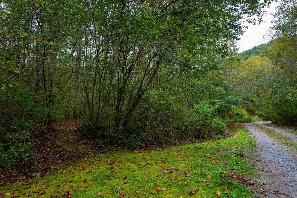 Yellow Creek Rd, ROBBINSVILLE, North Carolina image 8