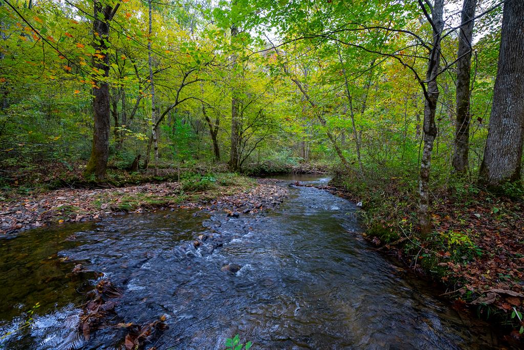 Yellow Creek Rd, ROBBINSVILLE, North Carolina image 1