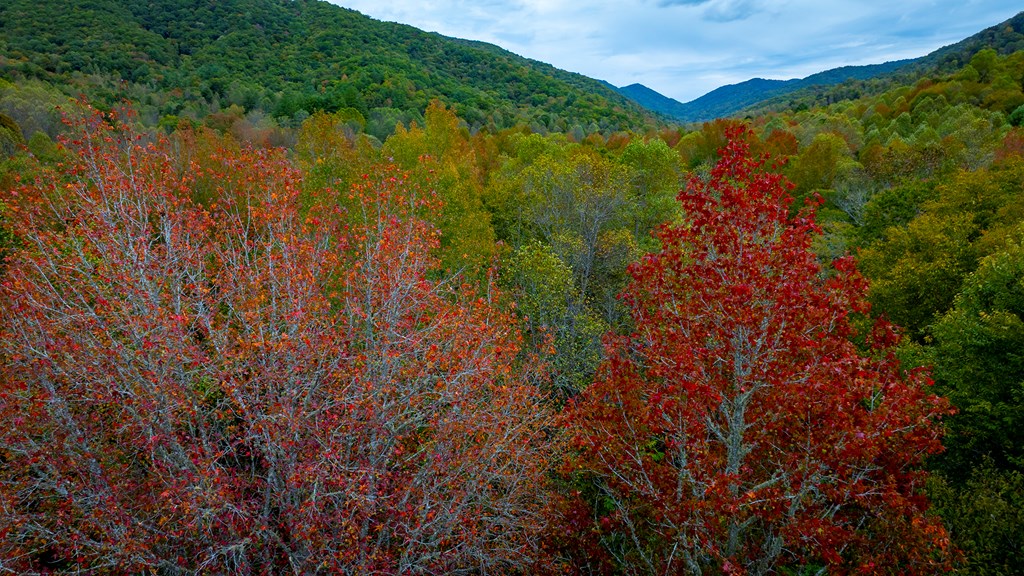 Yellow Creek Rd, ROBBINSVILLE, North Carolina image 6