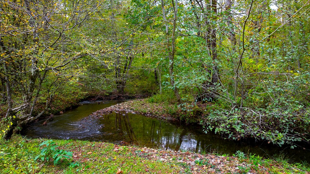 Yellow Creek Rd, ROBBINSVILLE, North Carolina image 3