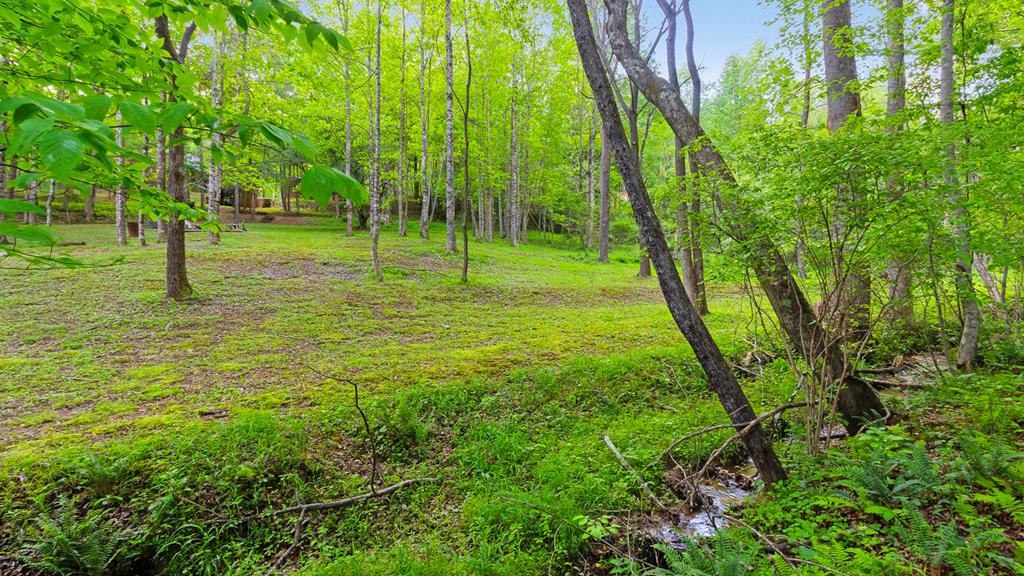 118 Ringtail Run, MURPHY, New York image 45