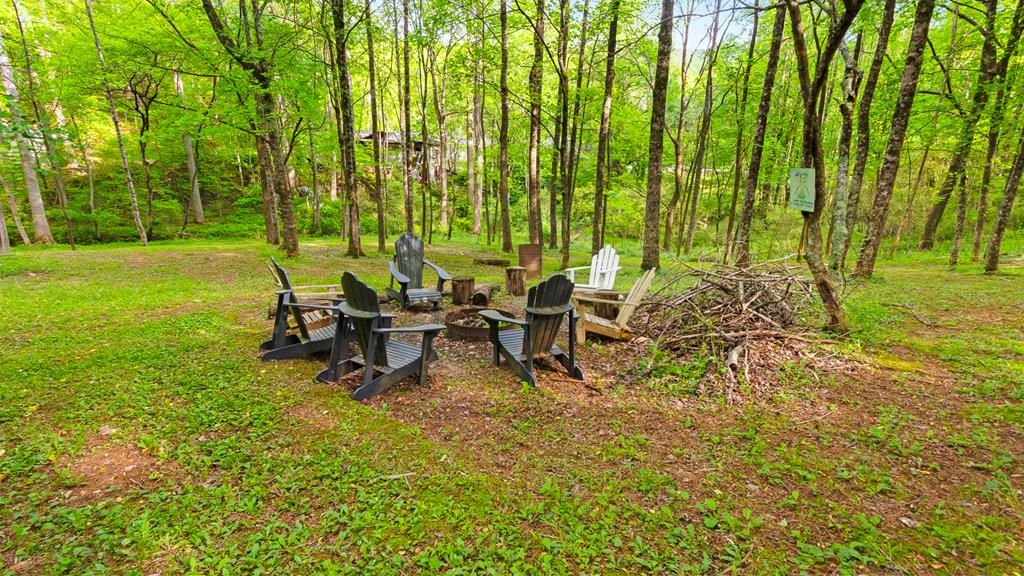 118 Ringtail Run, MURPHY, New York image 44