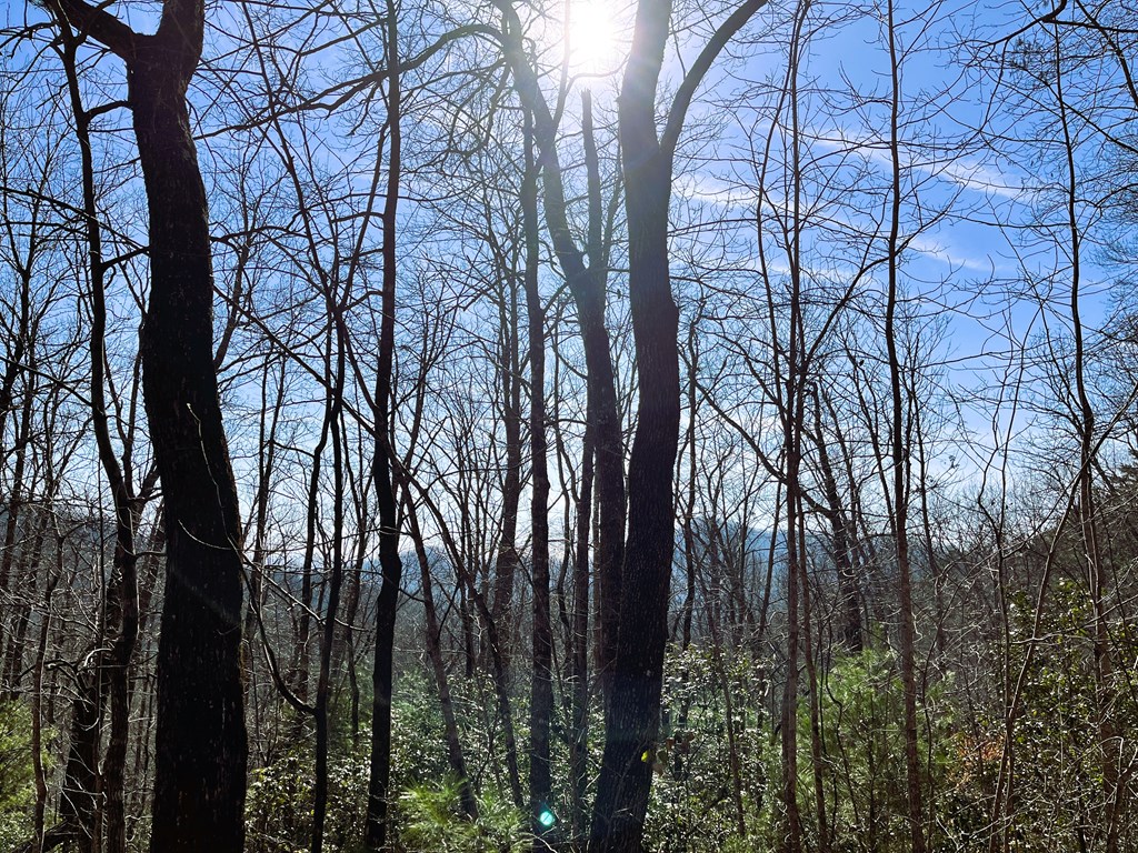 00 Nelson Ridge #3, HAYESVILLE, North Carolina image 8