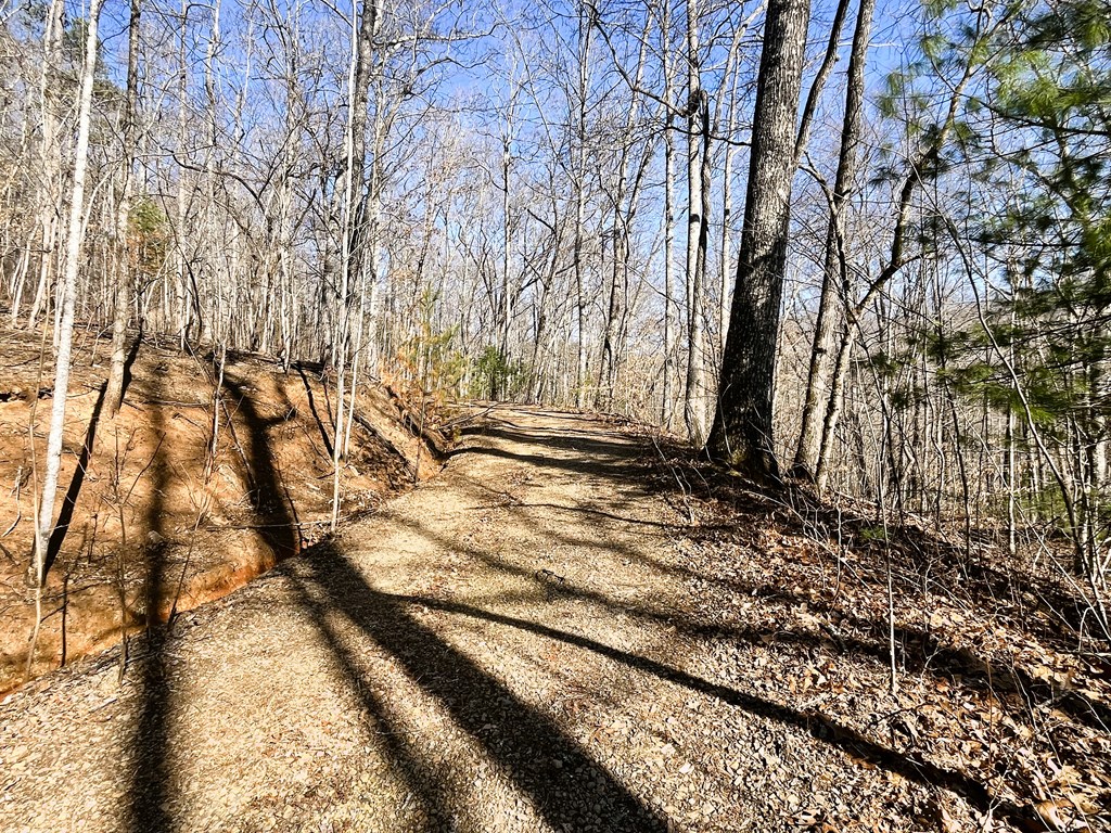 00 Nelson Ridge #3, HAYESVILLE, North Carolina image 5