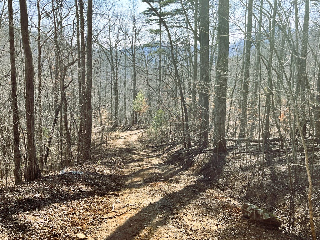 00 Nelson Ridge #3, HAYESVILLE, North Carolina image 18