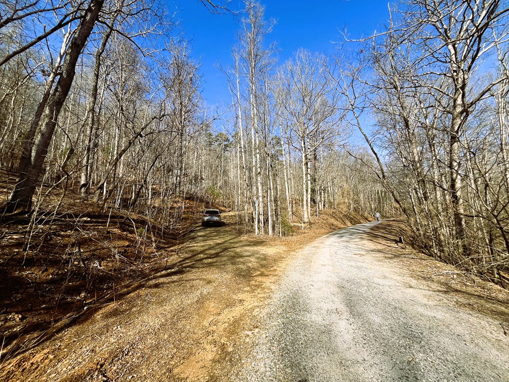 00 Nelson Ridge #3, HAYESVILLE, North Carolina image 3