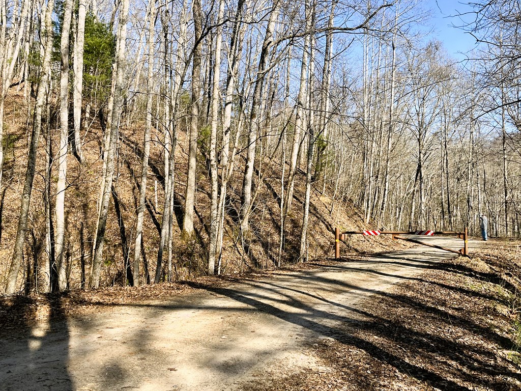 00 Nelson Ridge #3, HAYESVILLE, North Carolina image 4