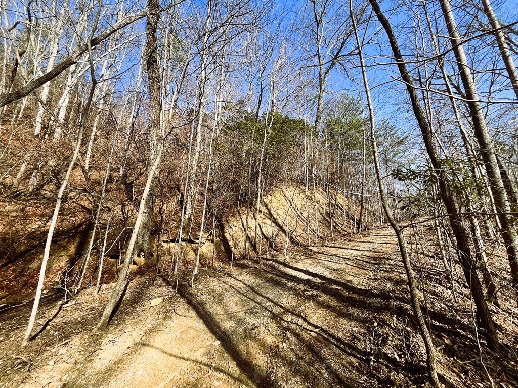 00 Nelson Ridge #3, HAYESVILLE, North Carolina image 6