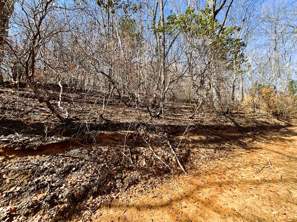 00 Nelson Ridge #3, HAYESVILLE, North Carolina image 10