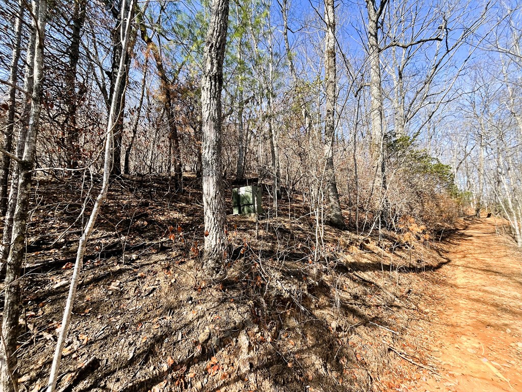 00 Nelson Ridge #3, HAYESVILLE, North Carolina image 9