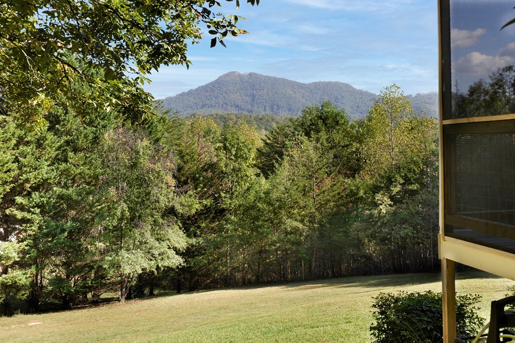 557 Hidden Pines Court, HIAWASSEE, Georgia image 44