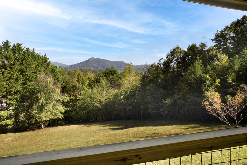 557 Hidden Pines Court, HIAWASSEE, Georgia image 7