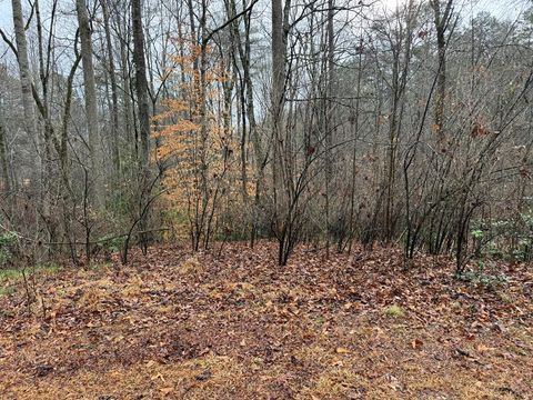 Vacant Land For Sale - Friendship<br/> MURPHY, NC 28906