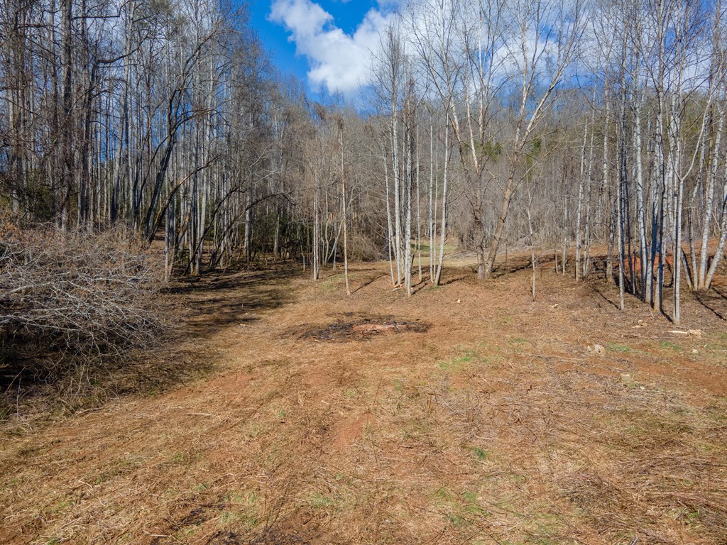 3241 Tapoco Road, ROBBINSVILLE, North Carolina image 9