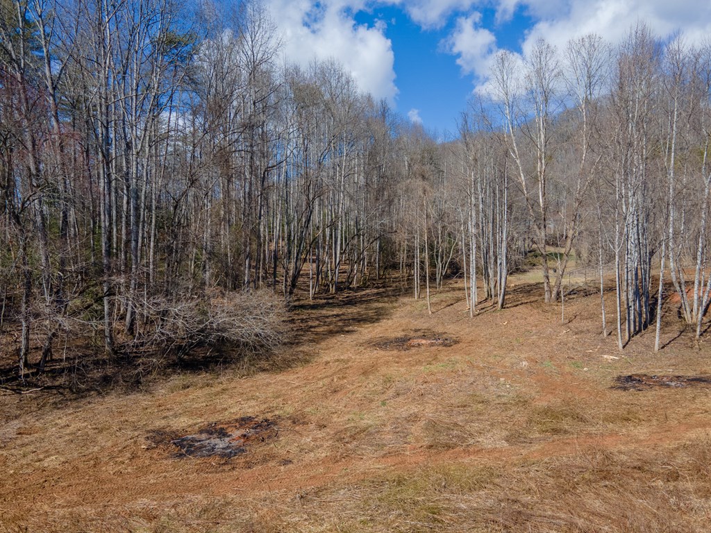 3241 Tapoco Road, ROBBINSVILLE, North Carolina image 7