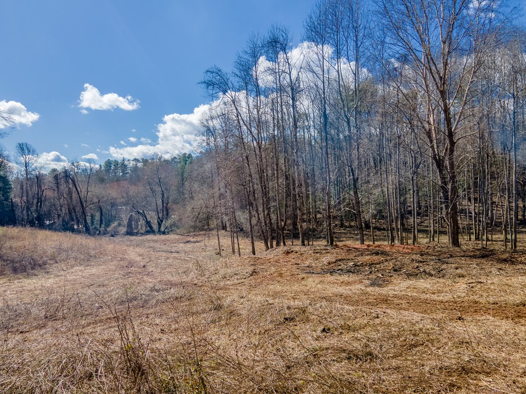 3241 Tapoco Road, ROBBINSVILLE, North Carolina image 13