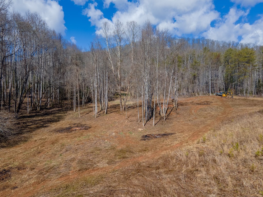 3241 Tapoco Road, ROBBINSVILLE, North Carolina image 8