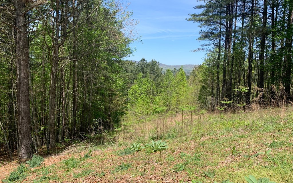 Lot 28 Loftis Mountain #LT 28, HAYESVILLE, North Carolina image 7