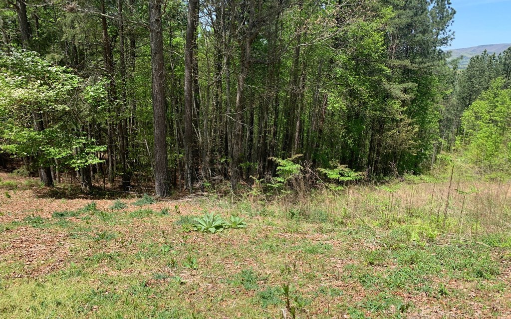 Lot 28 Loftis Mountain #LT 28, HAYESVILLE, North Carolina image 12