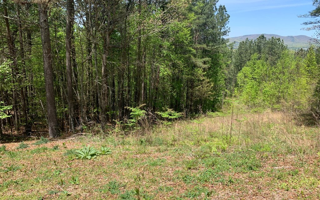 Lot 28 Loftis Mountain #LT 28, HAYESVILLE, North Carolina image 11