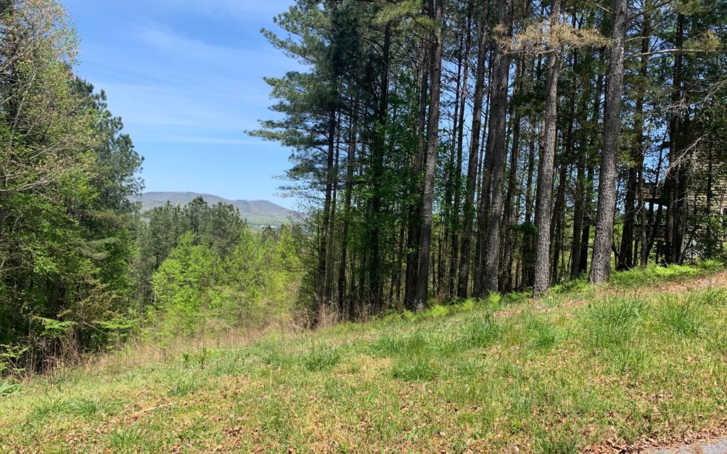 Lot 28 Loftis Mountain #LT 28, HAYESVILLE, North Carolina image 15