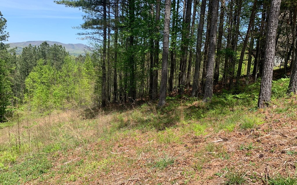 Lot 28 Loftis Mountain #LT 28, HAYESVILLE, North Carolina image 8