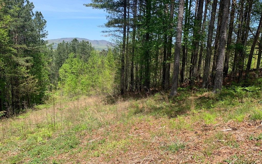 Lot 28 Loftis Mountain #LT 28, HAYESVILLE, North Carolina image 9