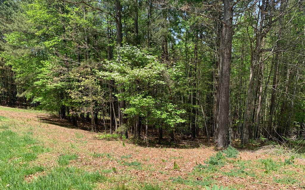 Lot 28 Loftis Mountain #LT 28, HAYESVILLE, North Carolina image 3