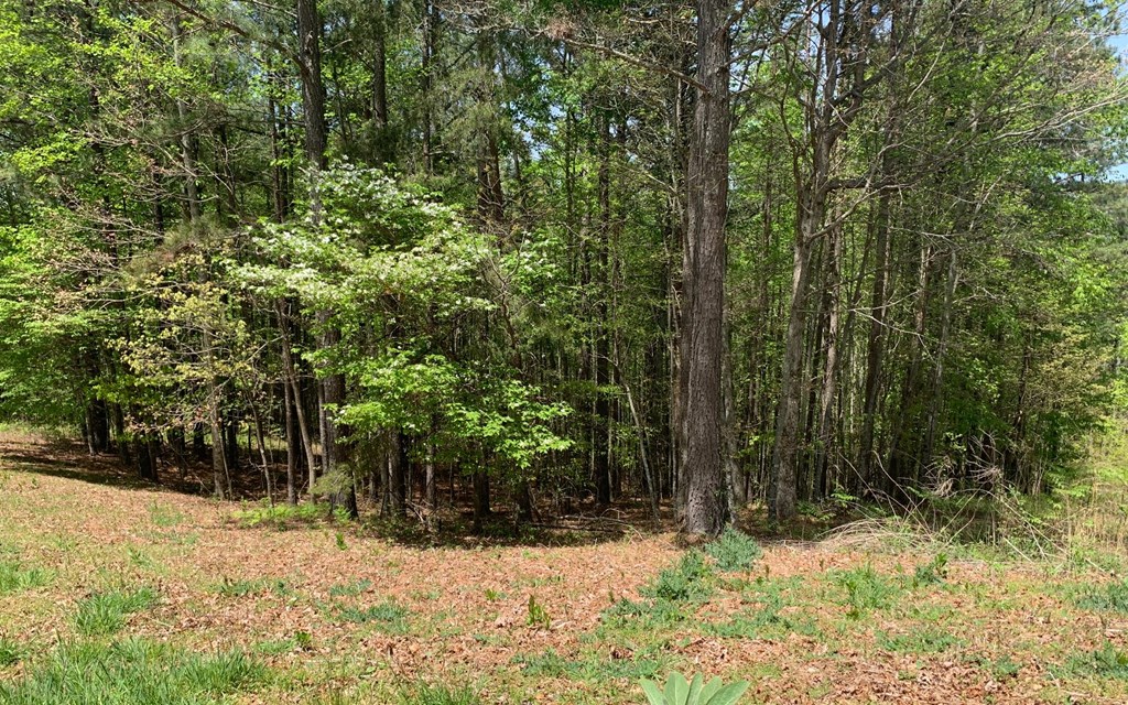 Lot 28 Loftis Mountain #LT 28, HAYESVILLE, North Carolina image 5