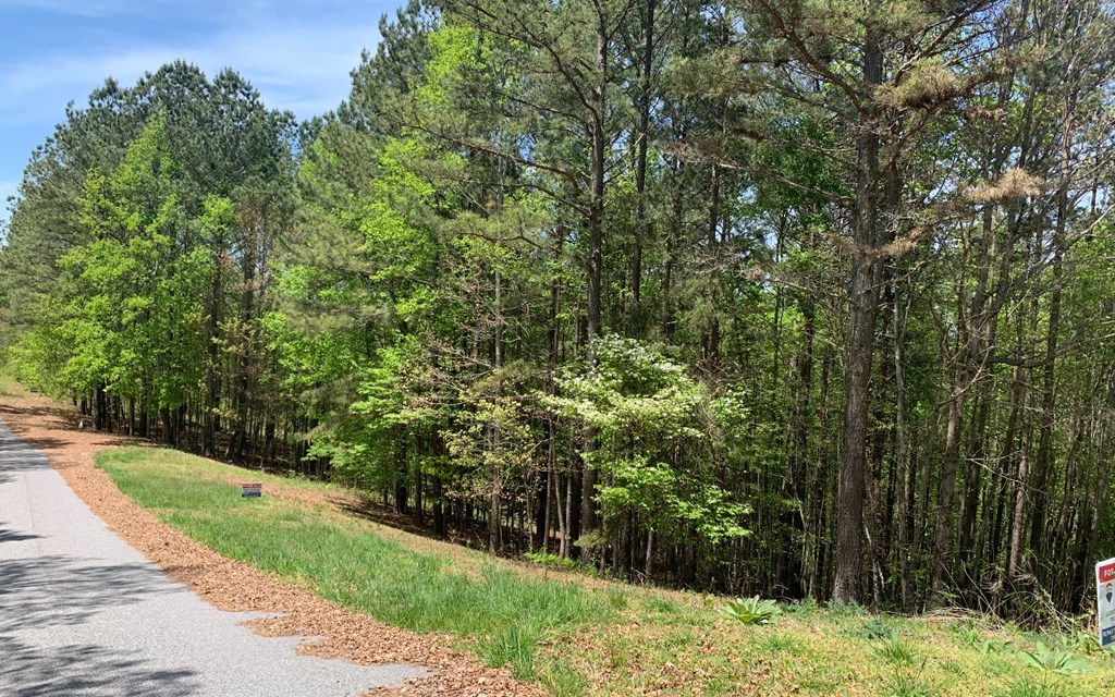 Lot 28 Loftis Mountain #LT 28, HAYESVILLE, North Carolina image 13