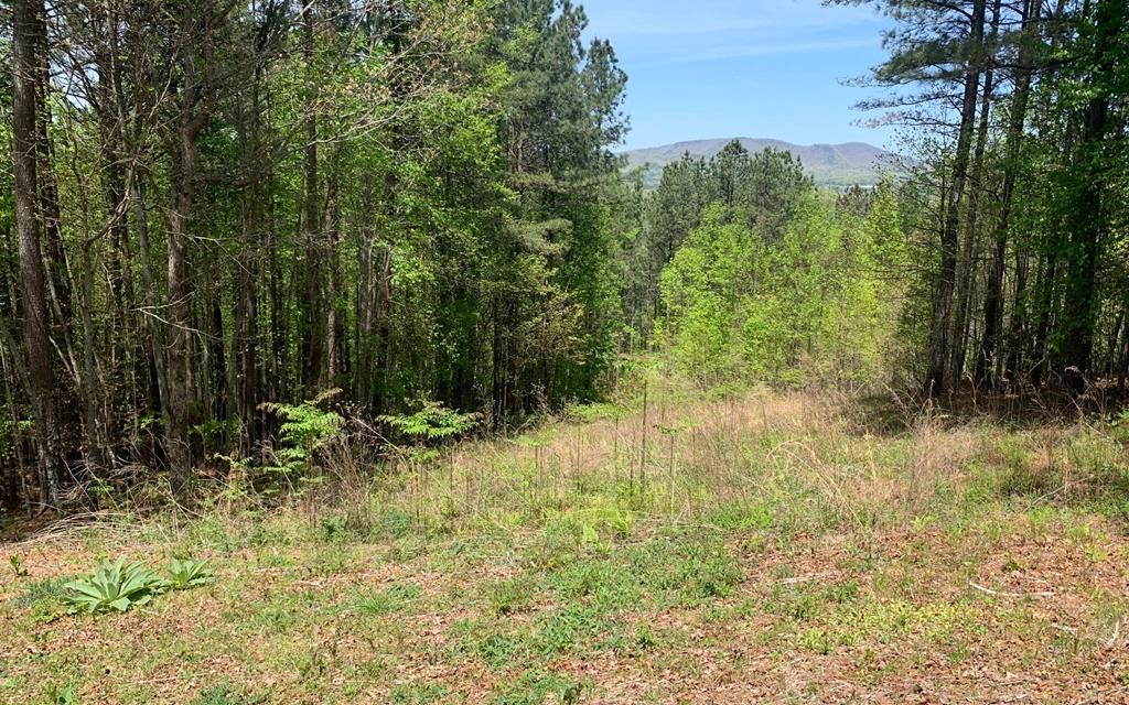 Lot 28 Loftis Mountain #LT 28, HAYESVILLE, North Carolina image 1