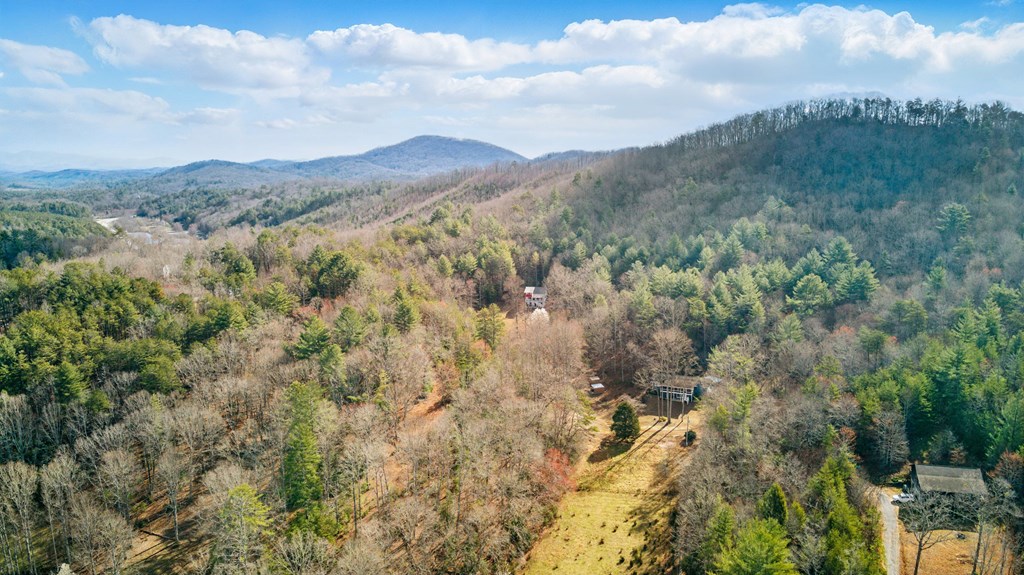 308 Twin Cedars Drive, MURPHY, North Carolina image 50
