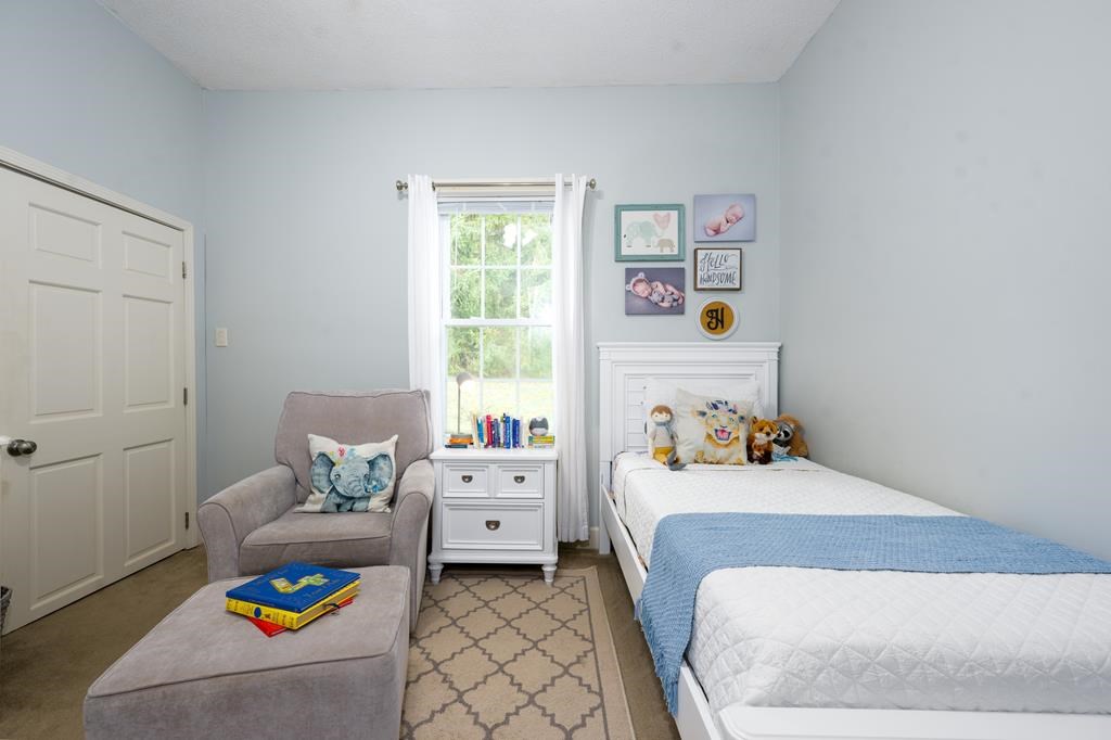 195 Isabella Avenue, COPPERHILL, Tennessee image 36
