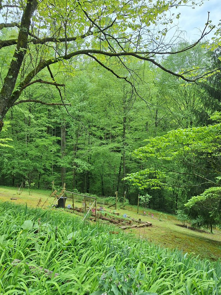 410 Running Deer Lane, MURPHY, North Carolina image 3