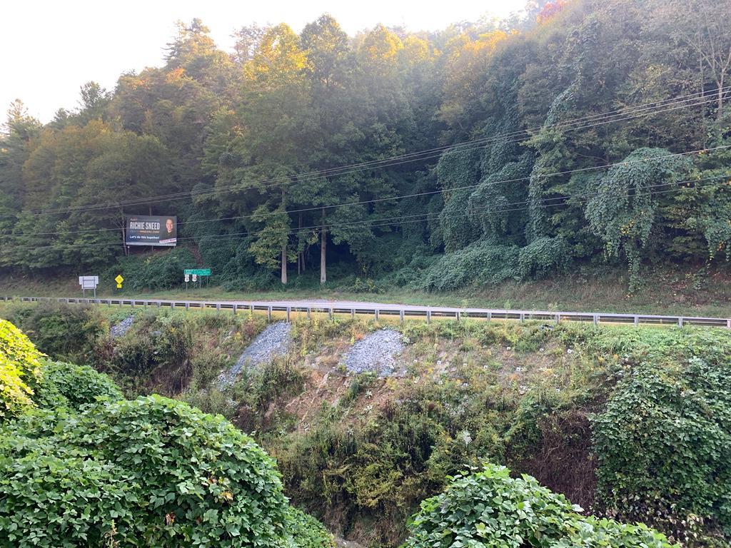 Franklin Branch Rd, TOPTON, North Carolina image 6