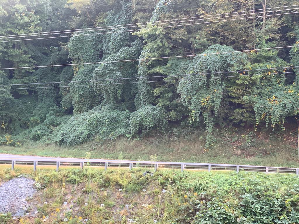 Franklin Branch Rd, TOPTON, North Carolina image 4