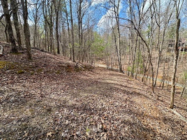 Lot 7 Whitleys Cove #7, MURPHY, North Carolina image 4