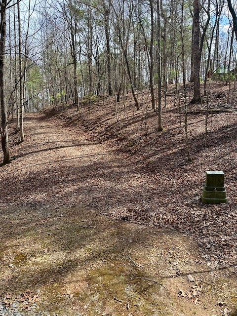 Lot 7 Whitleys Cove #7, MURPHY, North Carolina image 2