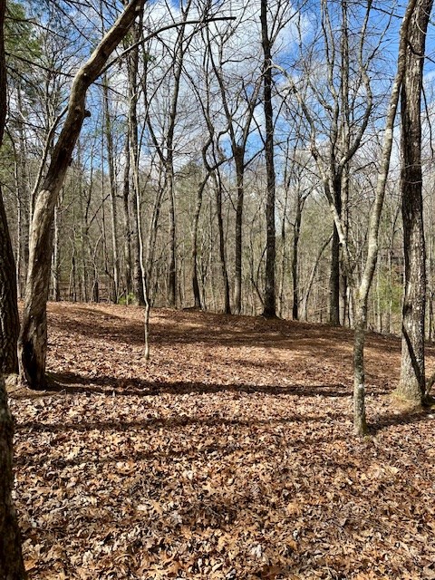 Lot 7 Whitleys Cove #7, MURPHY, North Carolina image 6