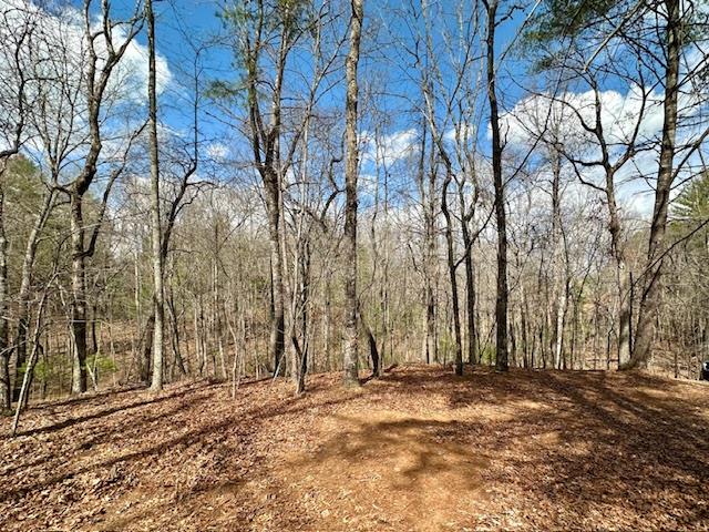 Lot 7 Whitleys Cove #7, MURPHY, North Carolina image 1